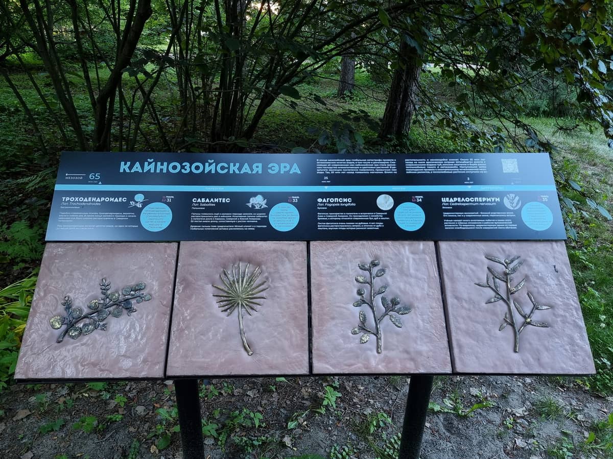 Экспонаты экспозиции "Палеосад"