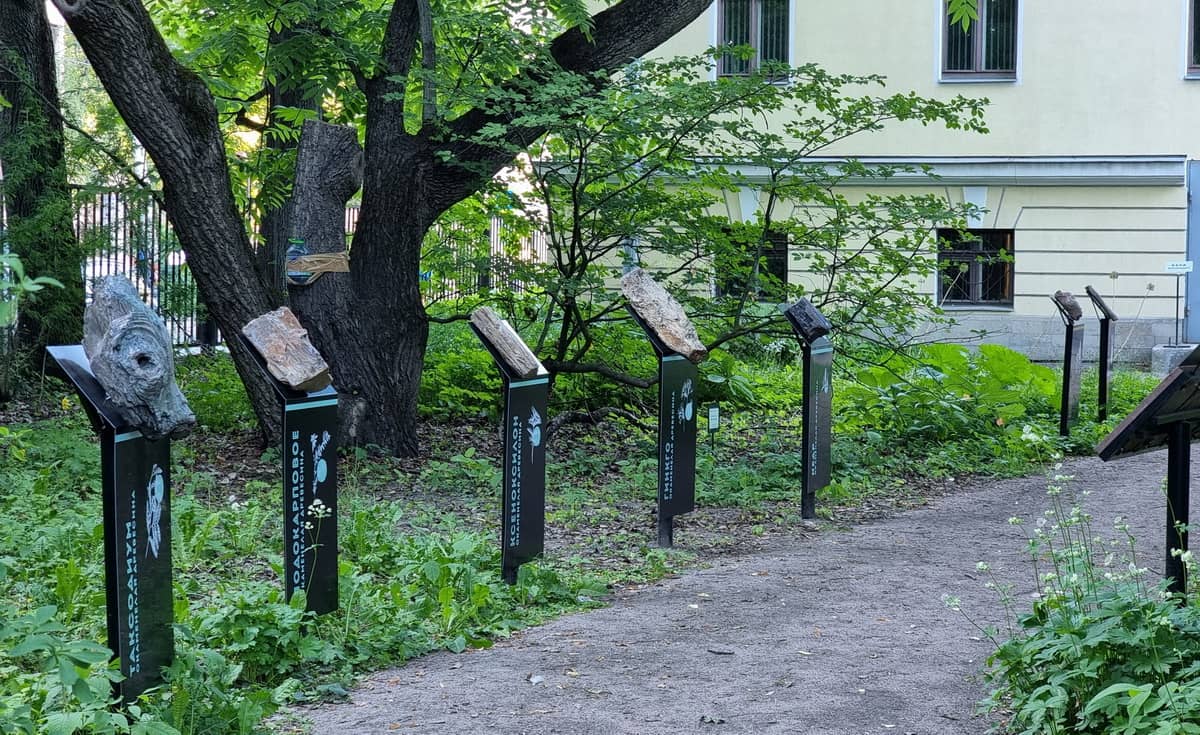 Так выглядит экспозиция "Палеосад"