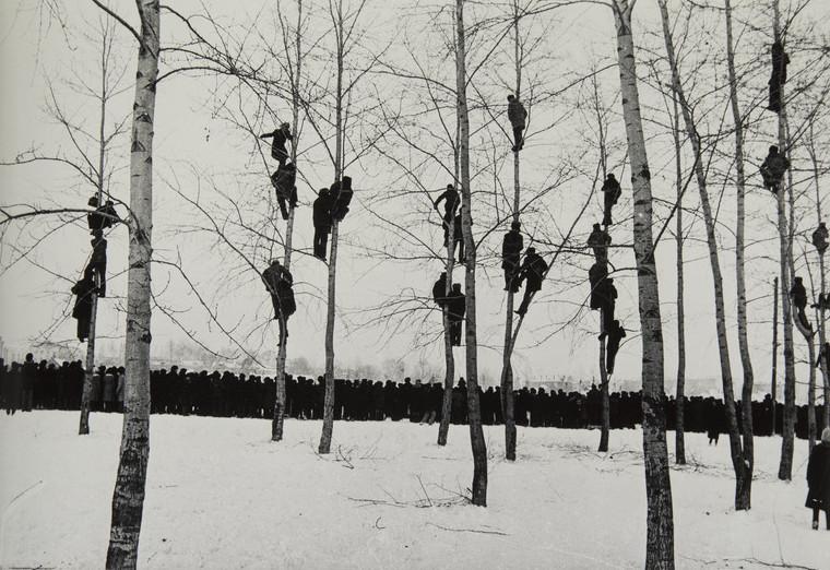 Николай Гнисюк. Грачи прилетели, 1964