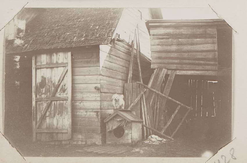 П.А. Орловский. Собака на крыше будки во дворе дома, 1890–1900-е