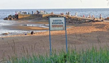 Где можно и где нельзя купаться в Петербурге и Ленинградской области