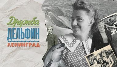 Премьера спектакля «Дружба, дельфин, Ленинград» в «Театральном проекте 27» с 31 октября по 2 ноября