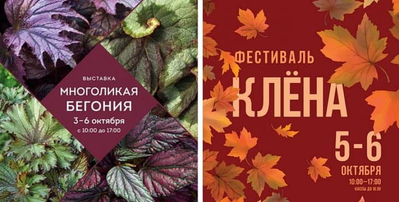 Выставка бегонии и фестиваль клёнов в Ботаническом саду