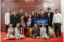 Выставка «Лучшие собаки России. Шоу чемпионов» в КСК «Арена» 1–2 августа