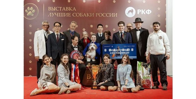 Выставка «Лучшие собаки России. Шоу чемпионов» в КСК «Арена» 1–2 августа