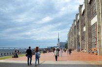 Бесплатный фестиваль «Маркет Маркета» в Севкабель Порту 15–16 августа
