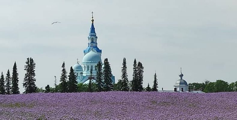 Концерт хора Валаамского монастыря в Капелле 1 ноября